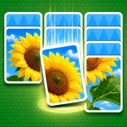 أيقونة Jigdrop Match-Solitaire Puzzle